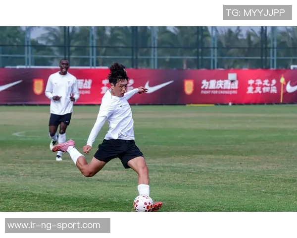 大连FC足球俱乐部:追寻荣耀与梦想的绿茵之路与未来展望